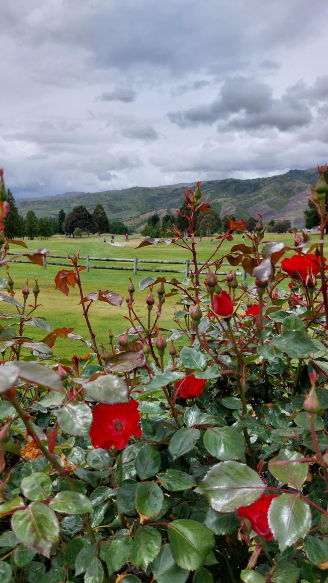 Lake Dunstan Motel ครอมเวลล์ ภายนอก รูปภาพ